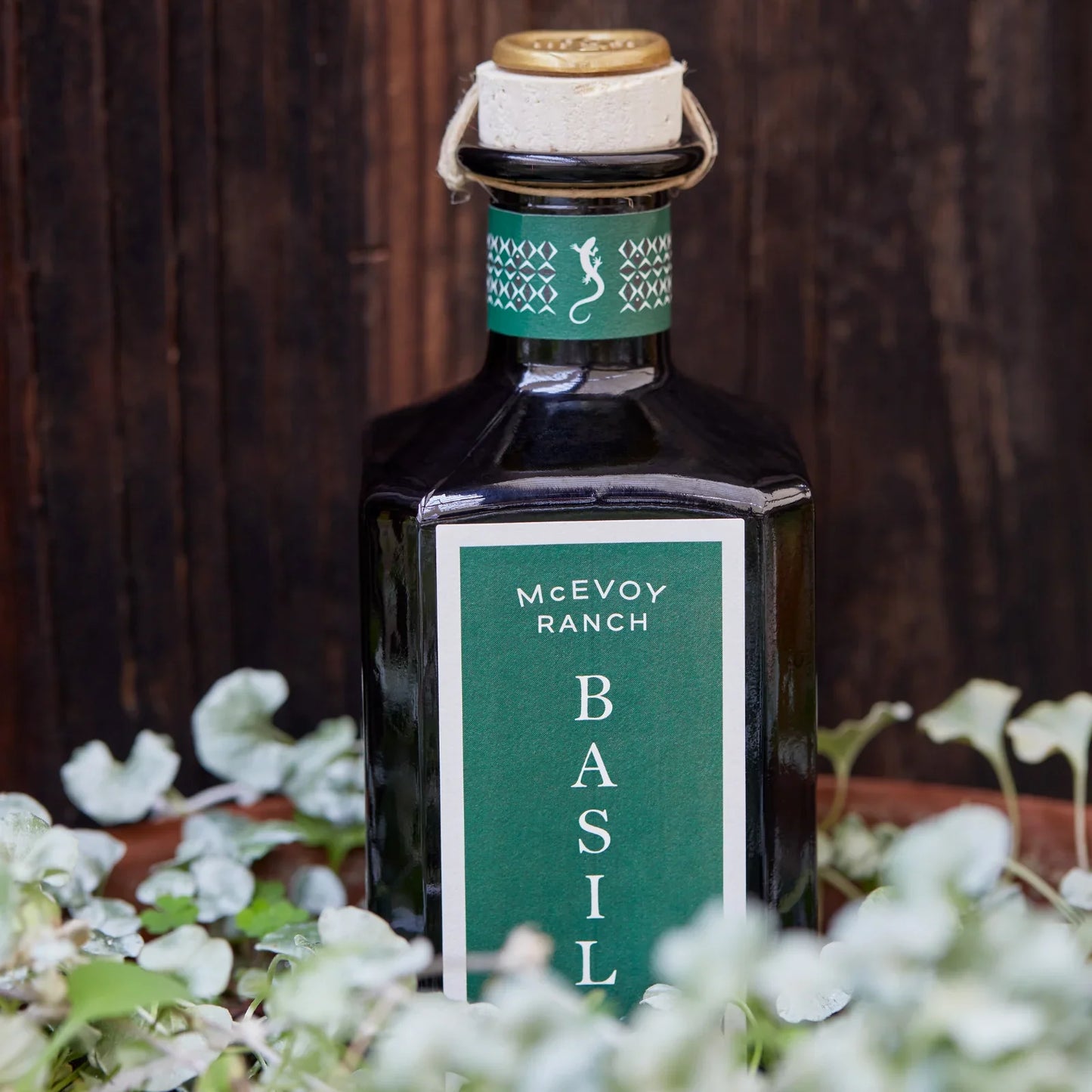 McEvoy Ranch Basil Olive Oil
