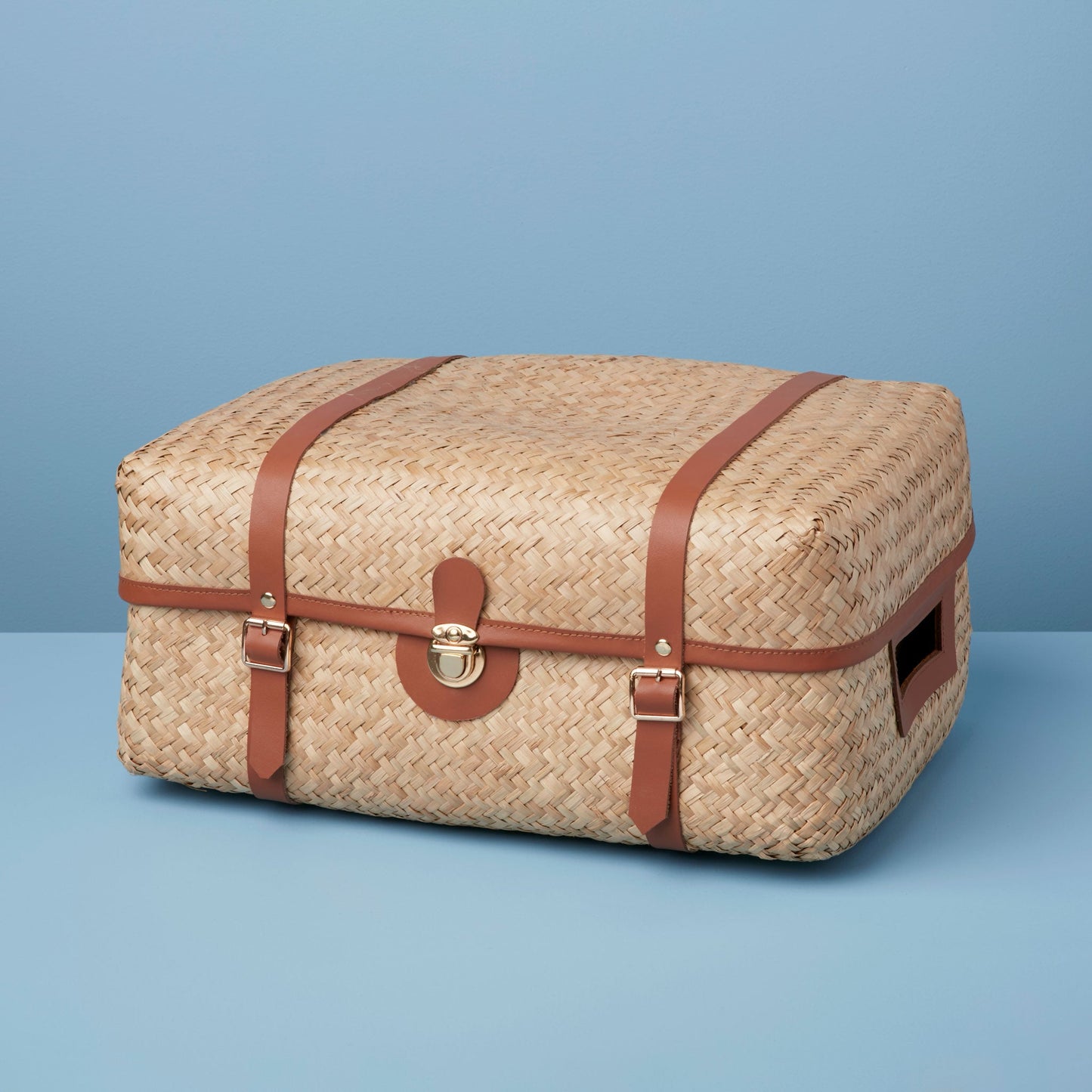 Murphy Storage Trunk, Small