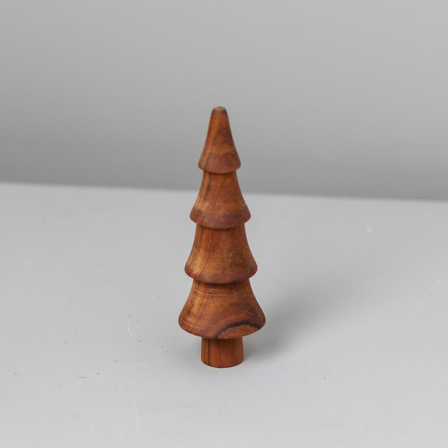 Teak Woodland Forest Tree, Spruce