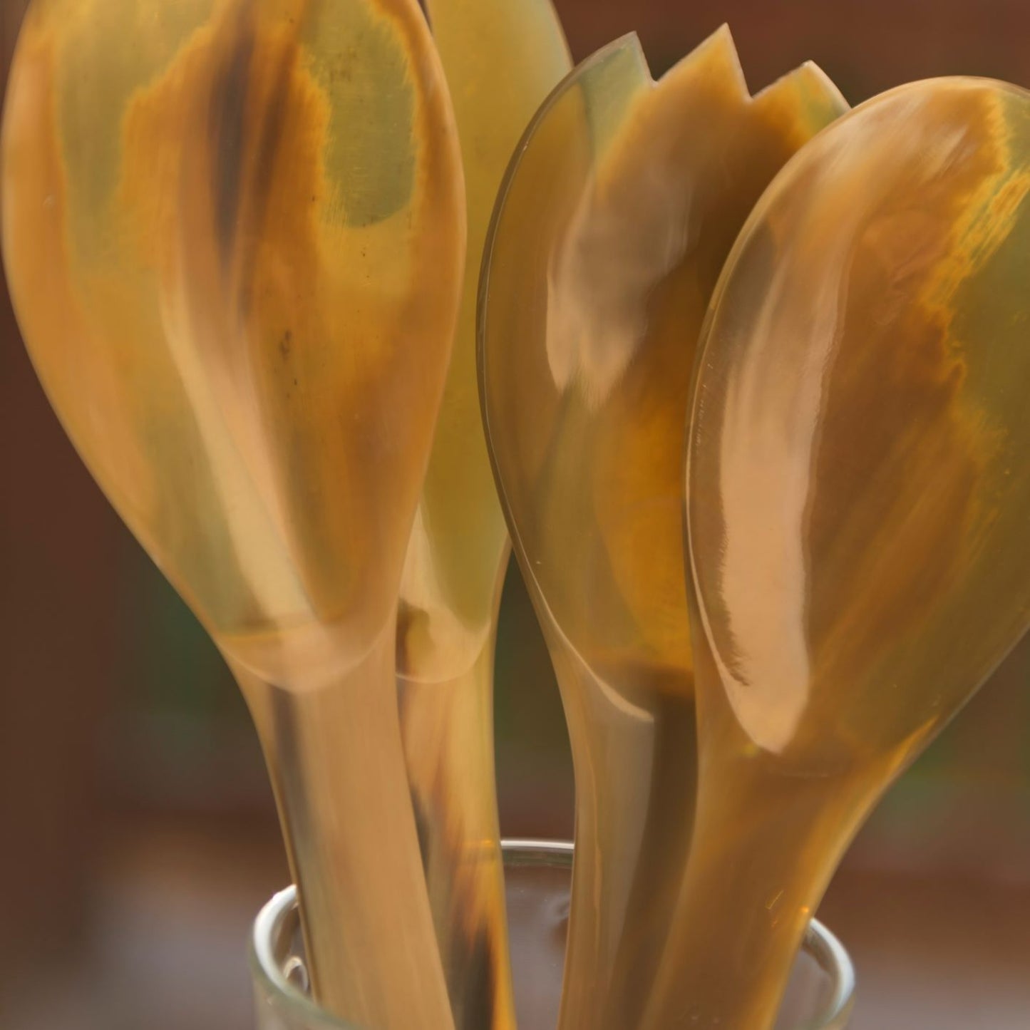Light Horn Serving Set Medium