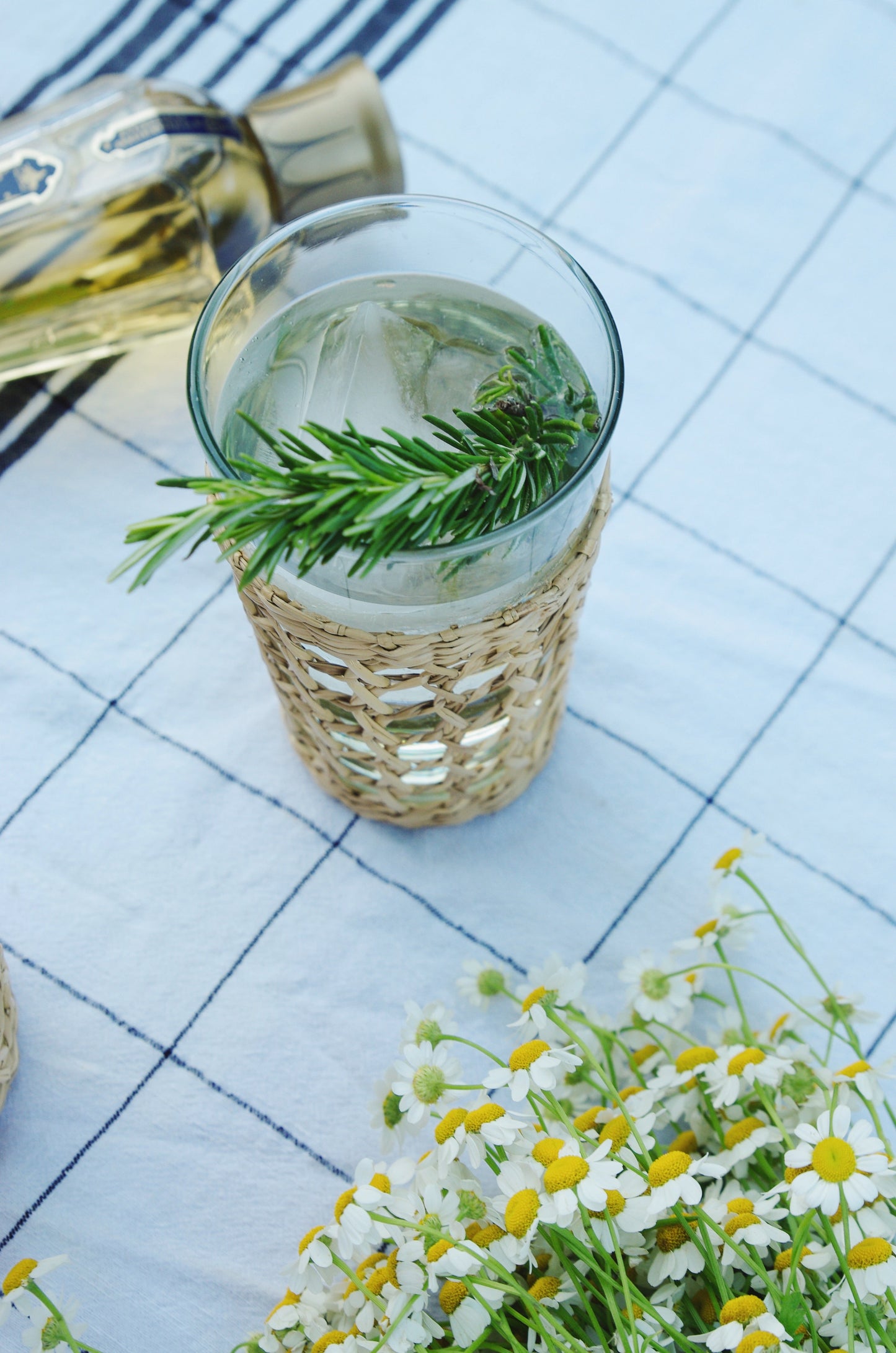 Seagrass Cage Highball Glass