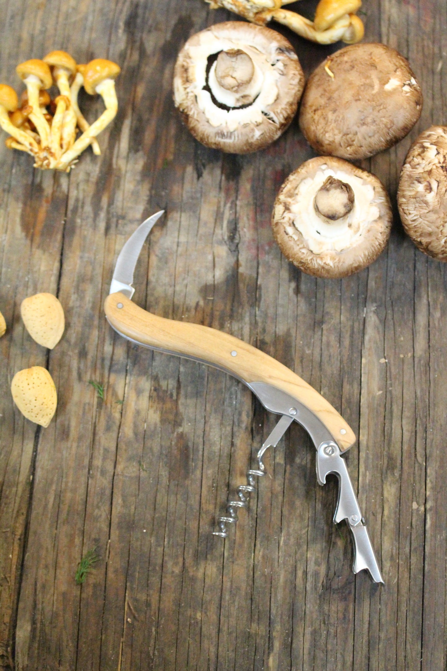 Large Olivewood Corkscrew