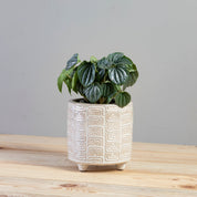 Itza Pot, Small