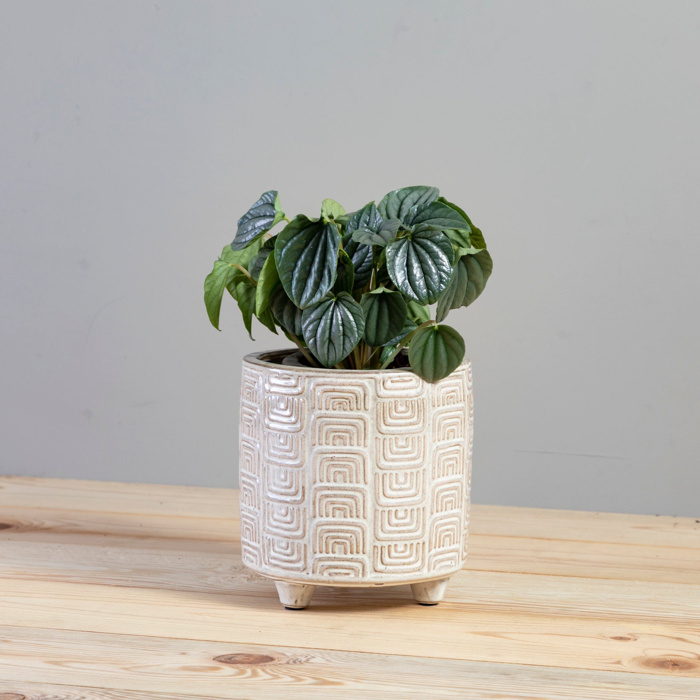 Itza Pot, Small