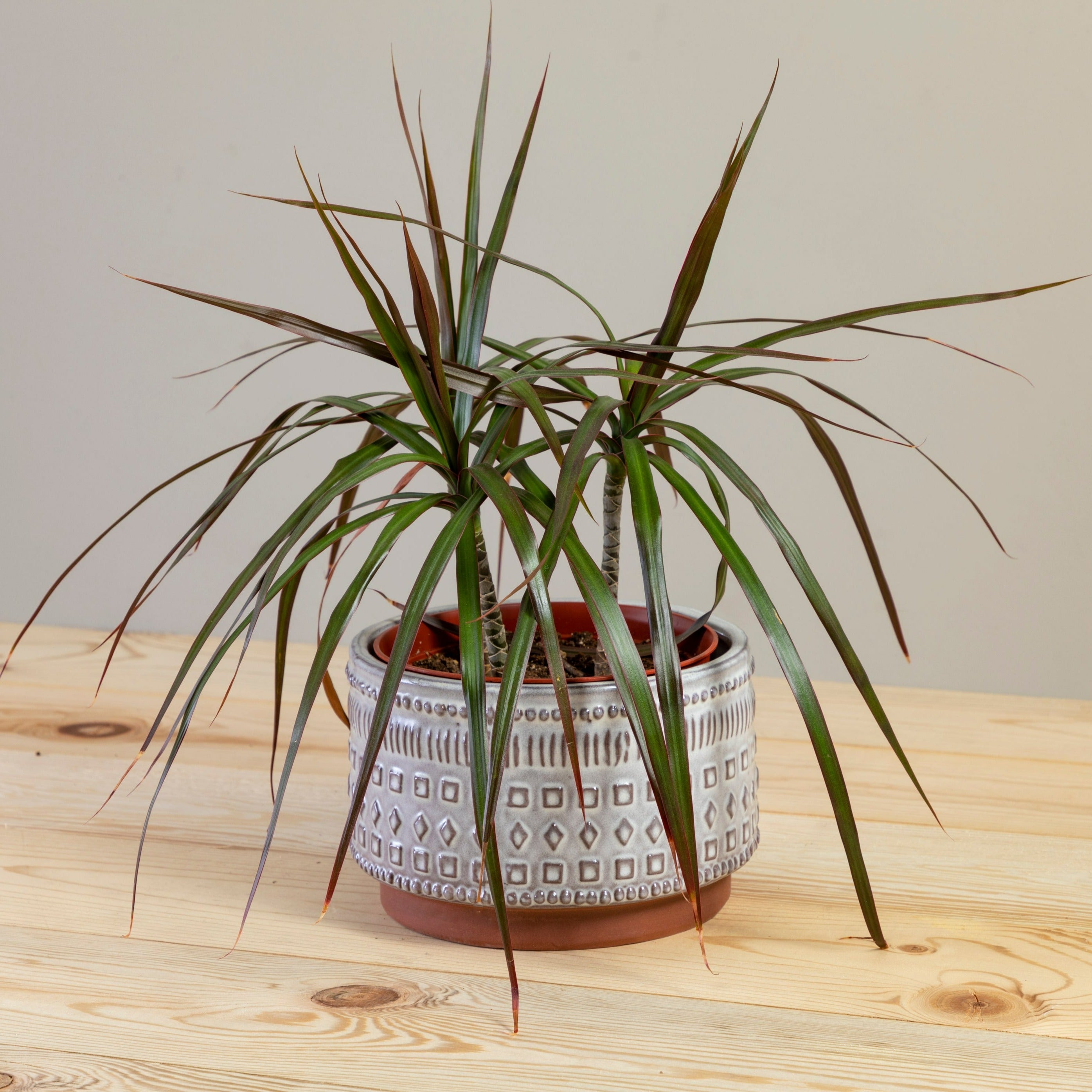 Freja Pot, Large