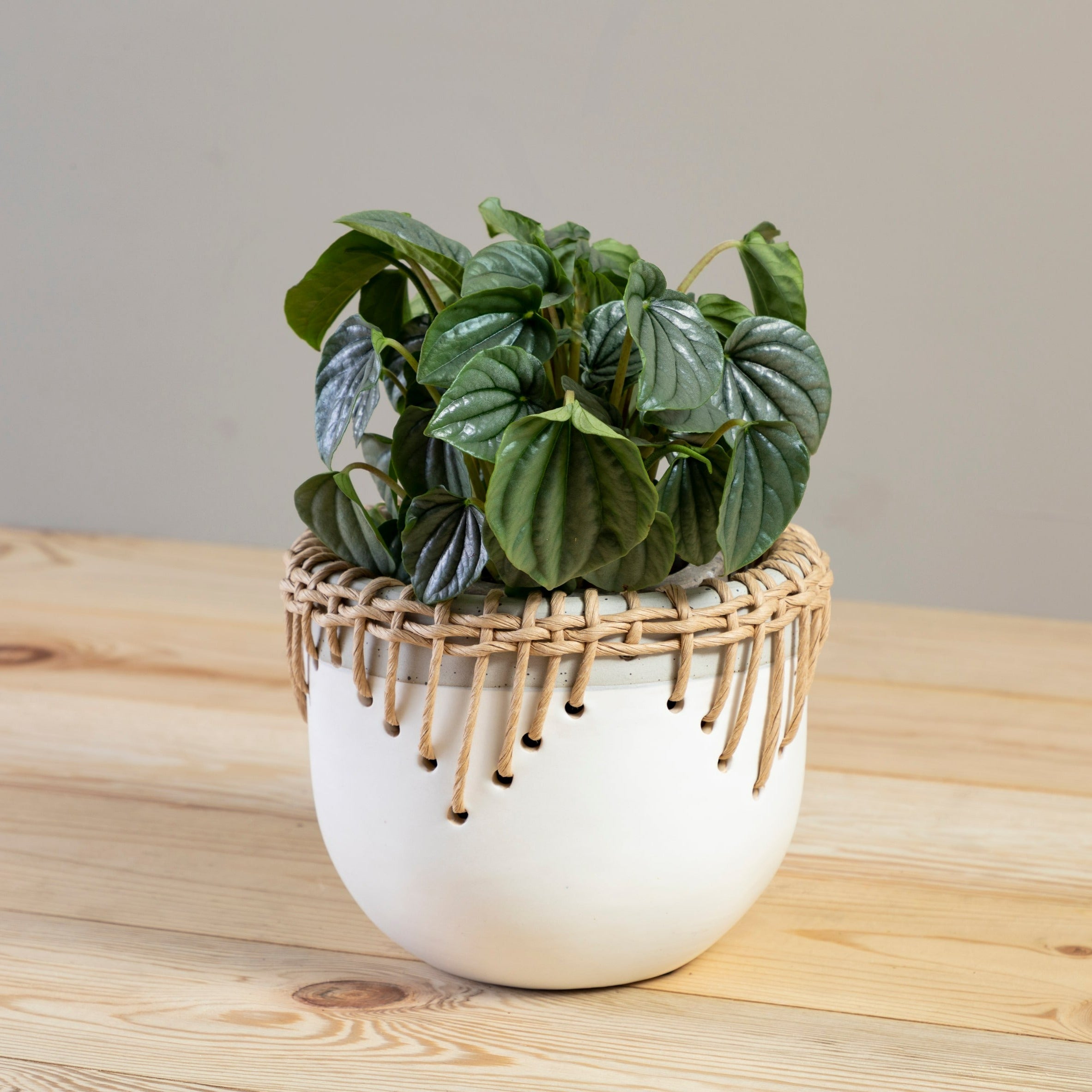 Hideaway Pot