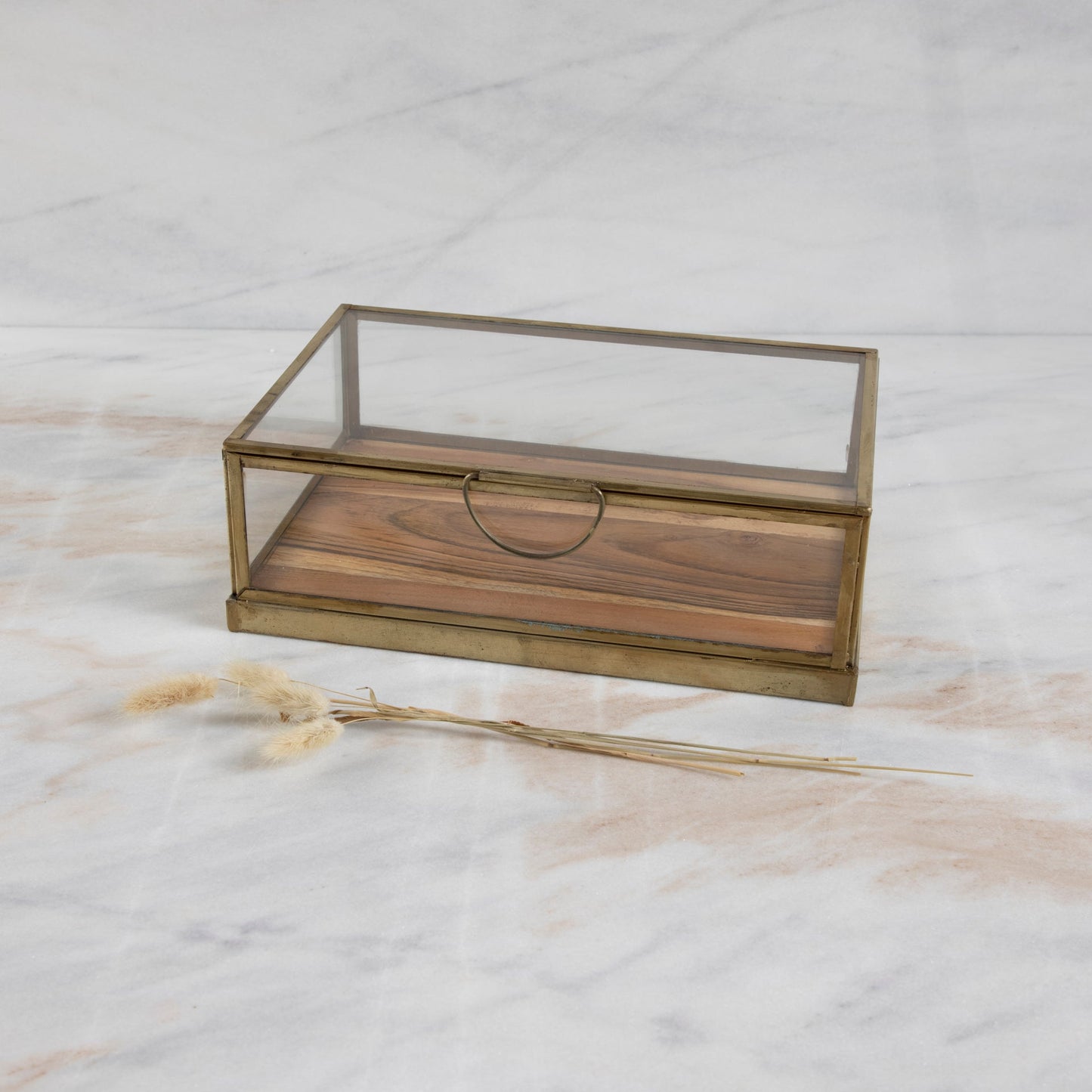 Glass Display Case with Wood Base, Small
