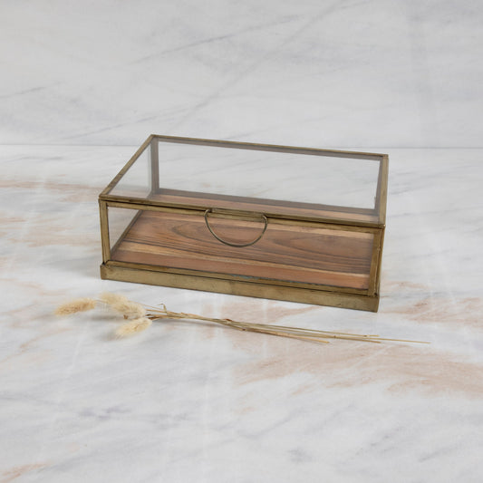 Glass Display Case with Wood Base, Small