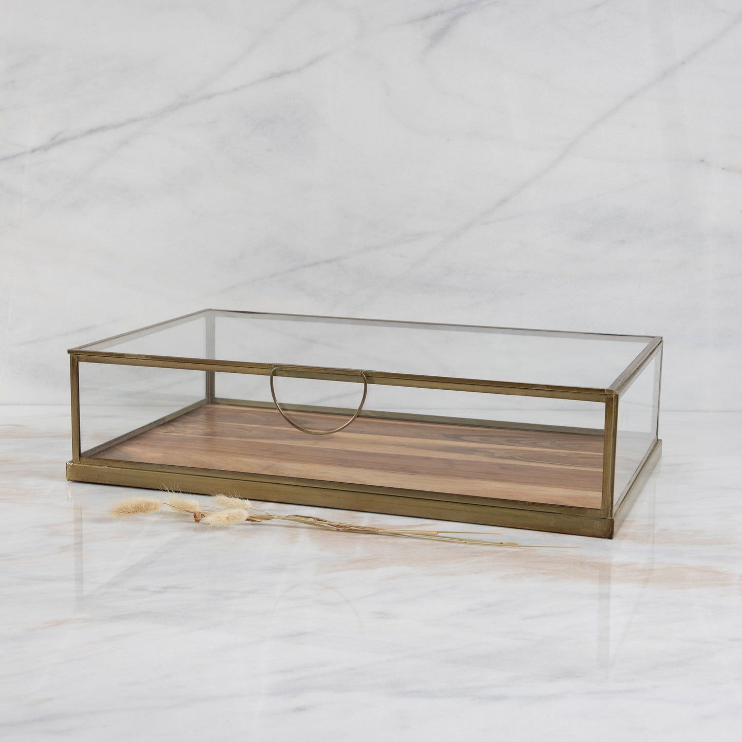 Glass Display Case with Wood Base, Large