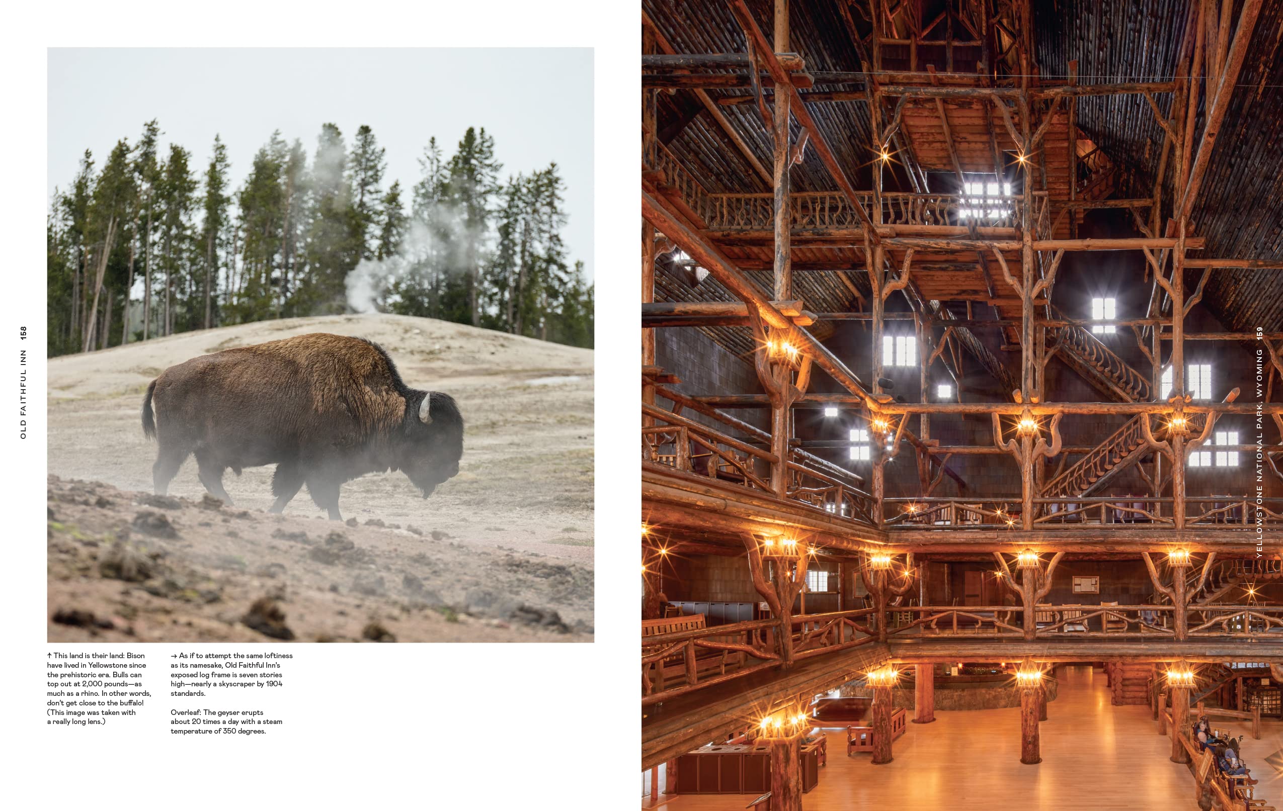 Lodge: An Indoorsy Tour of America National Parks by Max Humphrey & Kathryn O Shea-Evans
