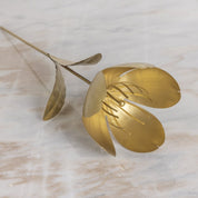 Botanical Stem, Tulip