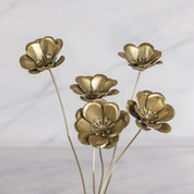 Botanical Stem, Poppies