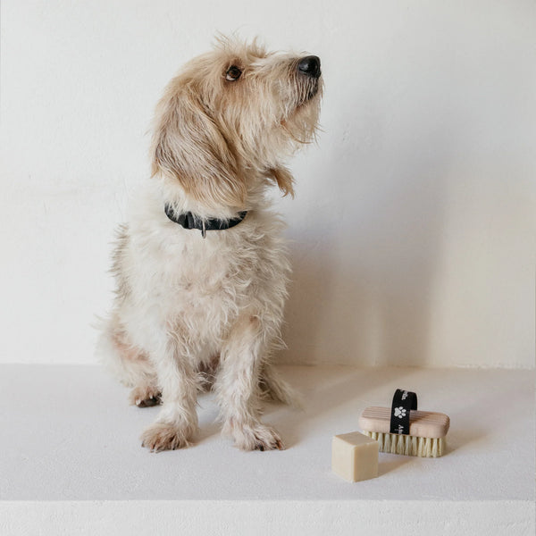 Andrée Jardin Bath and Massage Dog Brush & Soap Set