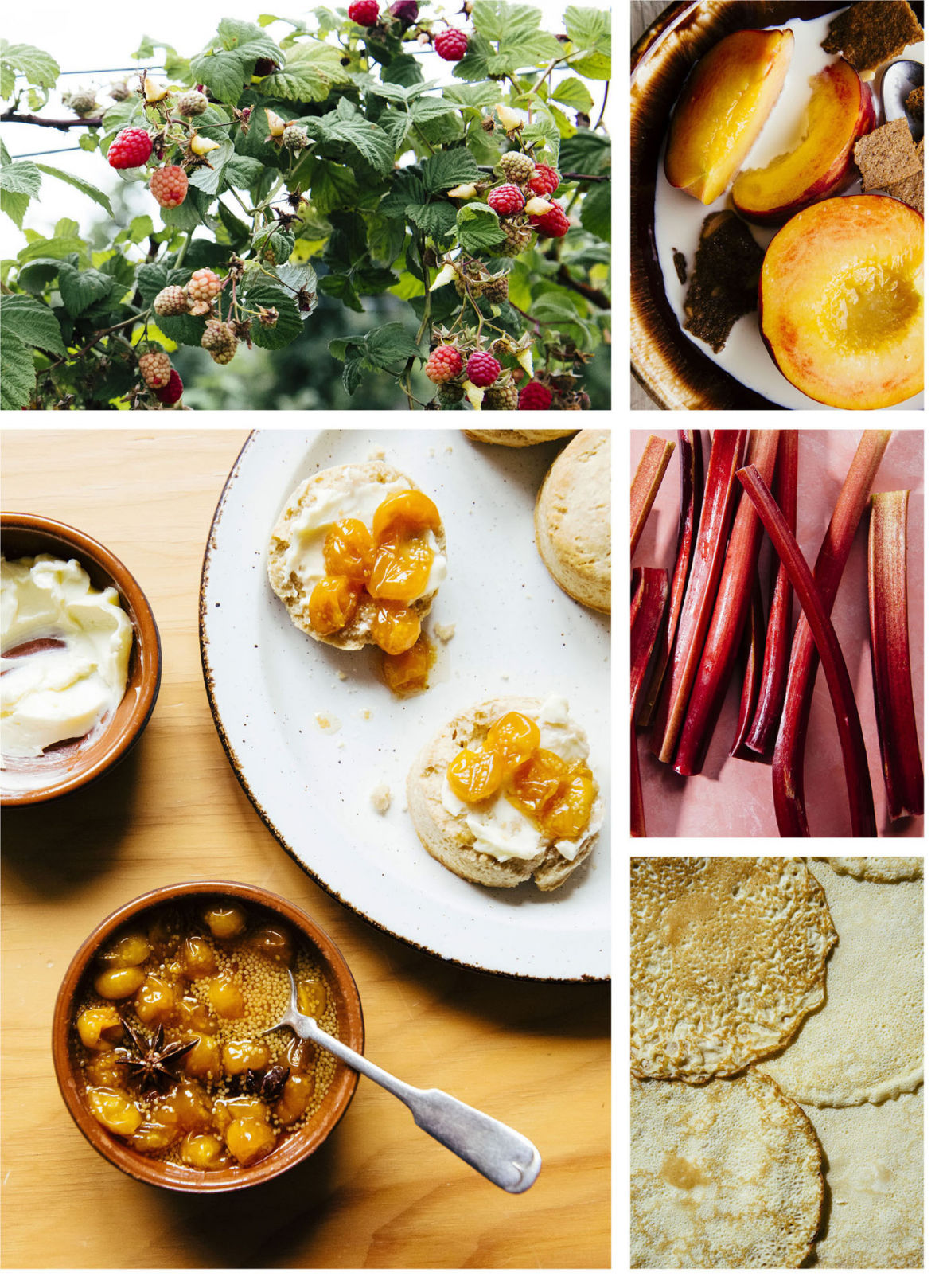 Pulp: A Practical Guide to Cooking with Fruit by Abra Berens