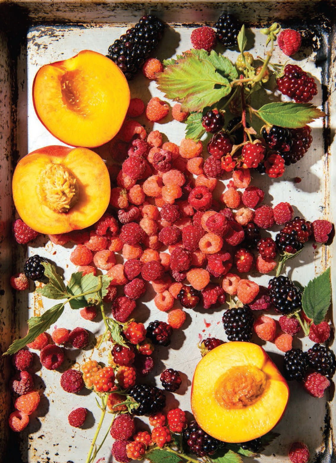 Pulp: A Practical Guide to Cooking with Fruit by Abra Berens