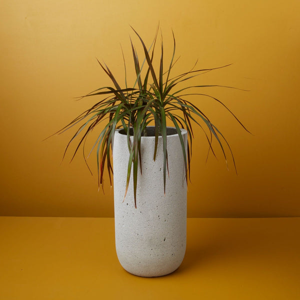 Alfeo Cement Planter