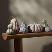 Bounty Pumpkin, Large