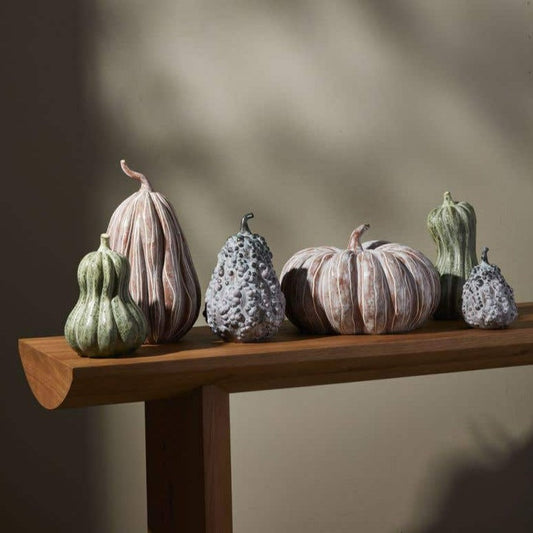 Bounty Pumpkin, Large