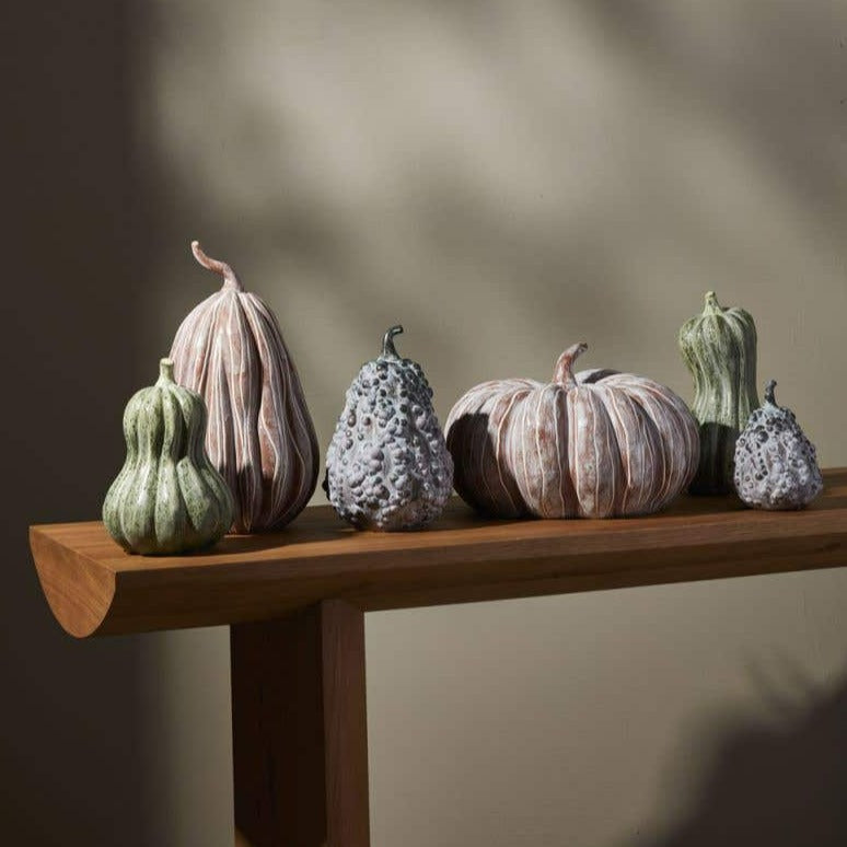 Bounty Pumpkin, Small