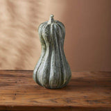 Bounty Squash, Large