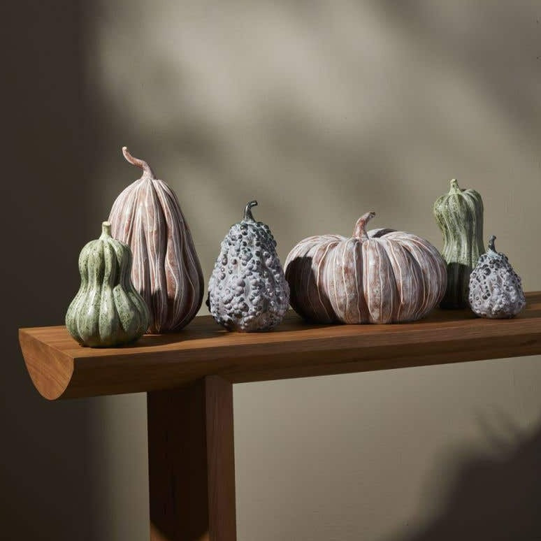 Bounty Squash, Large