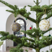 Eria Ornament