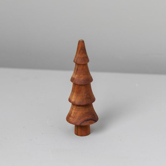 Teak Woodland Forest Tree, Spruce