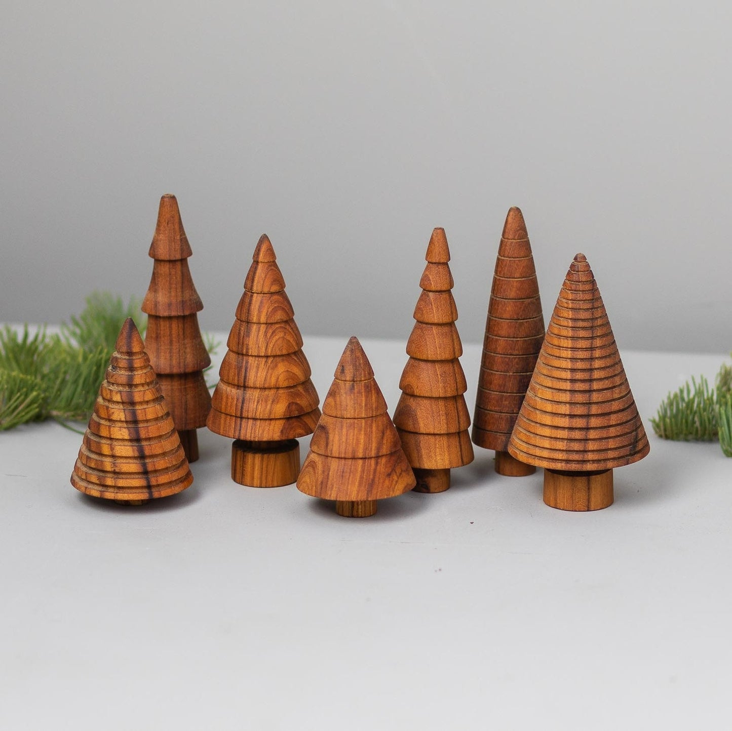 Teak Woodland Forest Tree, Fir