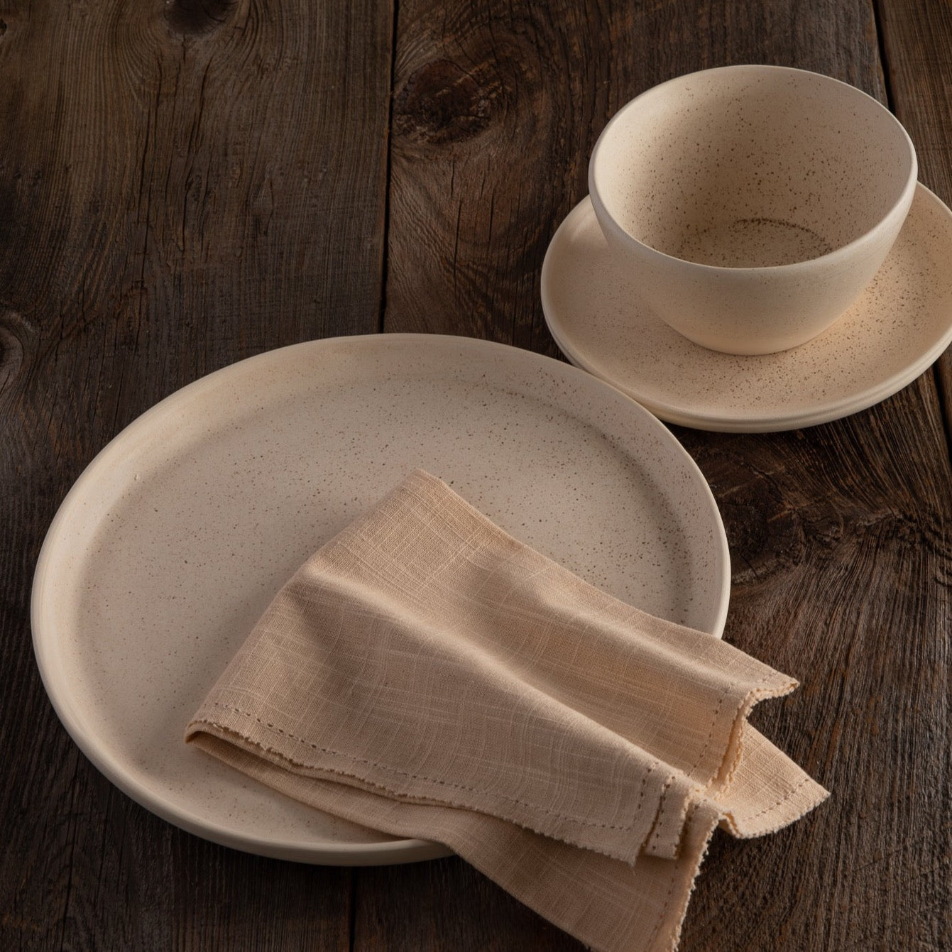 Treves Dinner Plate, Speckled Nude, Set of 4