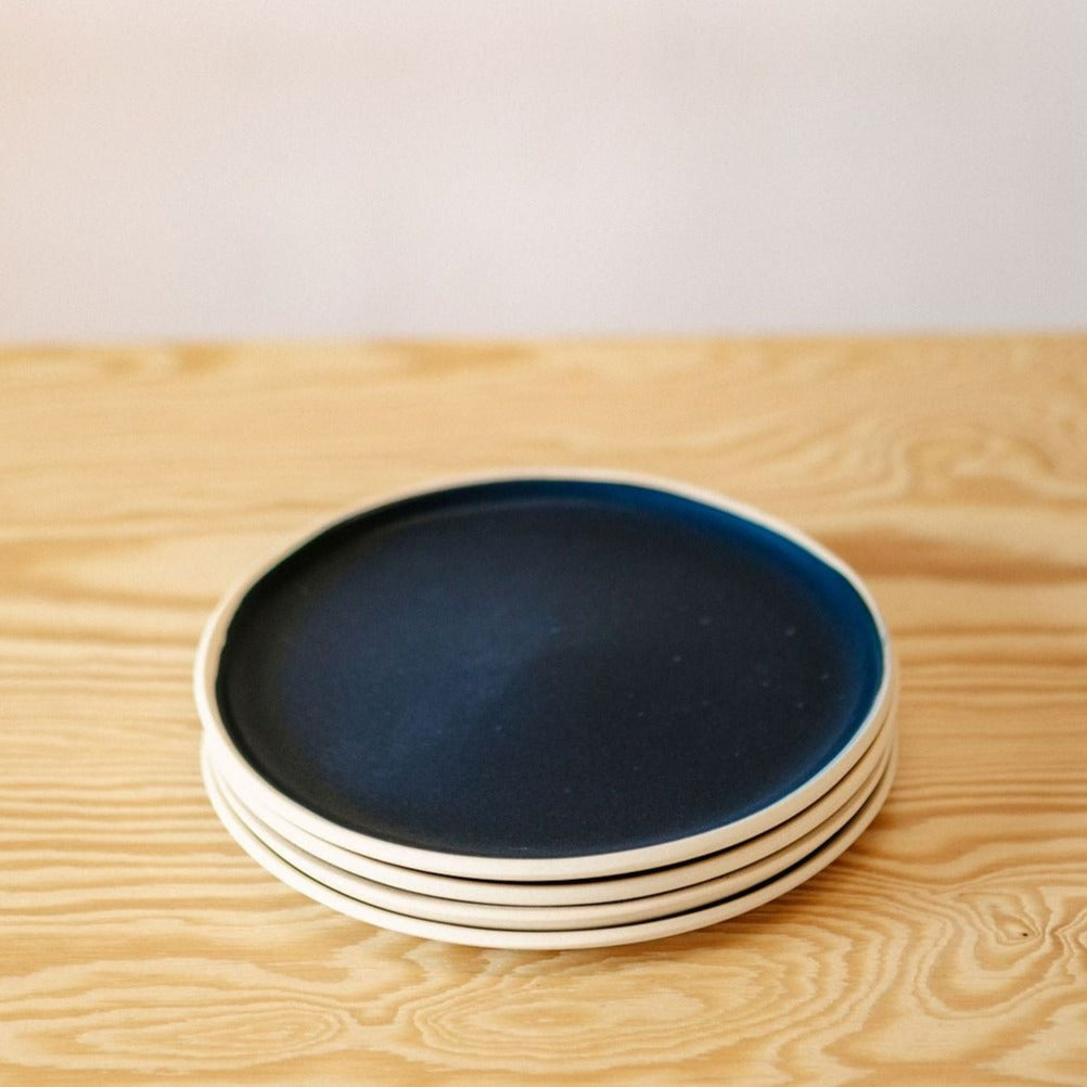 Navysaladplate.jpg