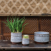 Freja Pot, Medium