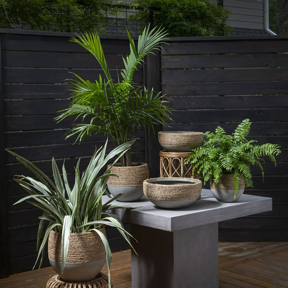 Reed Pot