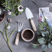 Garden Tool Set
