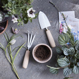 Garden Tool Set