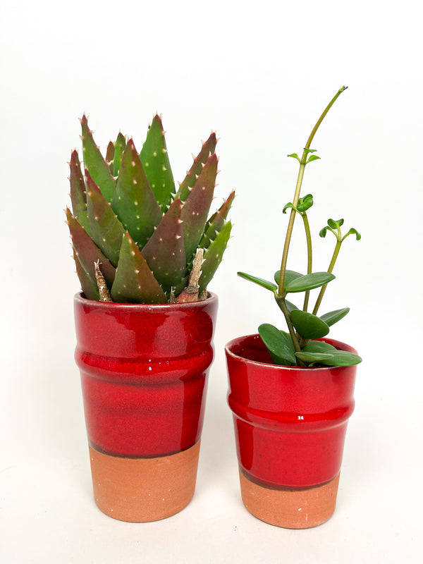 Terracotta Planters Red Medium (Set of 2)